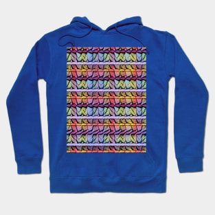 The Colorful stripes. Hoodie